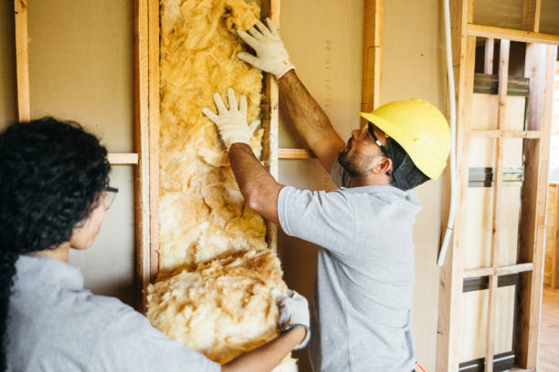 Insulation Repair Services in Minco, OK